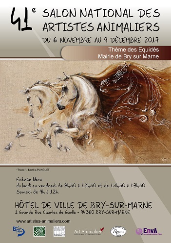 affiche salon de bry 2017